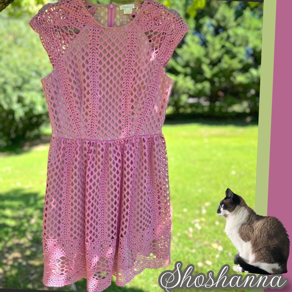 Nwt $465 Shoshanna | Cerise | Cottagecore | Barbiecore | Crochet Dress In Pink